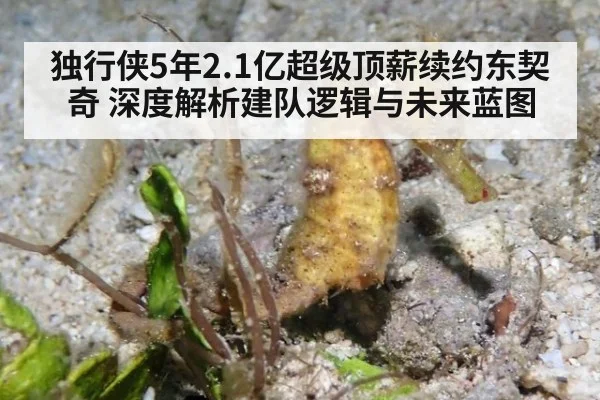 独行侠5年2.1亿超级顶薪续约东契奇 深度解析建队逻辑与未来蓝图