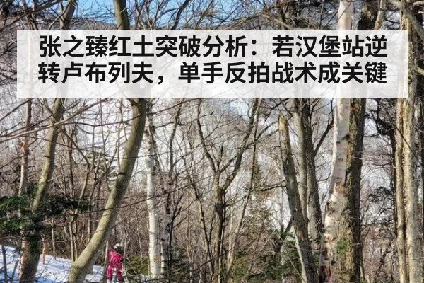 张之臻红土突破分析：若汉堡站逆转卢布列夫，单手反拍战术成关键